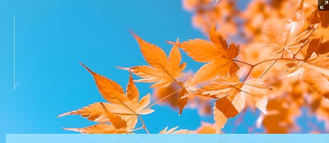 快來看色彩繽紛的株軌校園，肯定有你喜歡的美